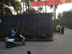 -东郊椰林
