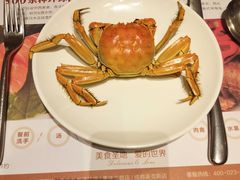 -芭菲盛宴·环球美食(北城国际店)