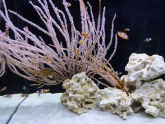 -沈阳海洋探索中心