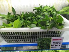 -黔府豆米火锅野菜馆(南马店)