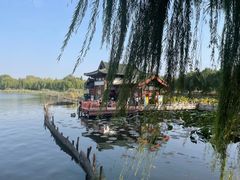 -济南大明湖景区