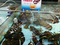 -渔民新村(番禺总店)