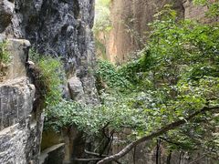 -蝶舞清江·恩施云顶景区(黄鹤峰林)