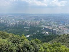 -杭州半山国家森林公园