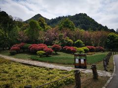 -贵阳市花溪国家城市湿地公园