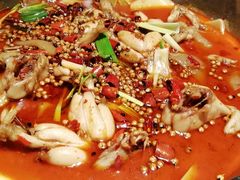 -宽口美蛙鱼头(大唐西市店)