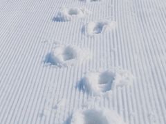 -太子岭滑雪场