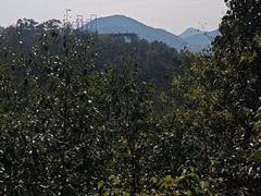 -石燕湖生态旅游景区