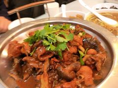 南阳焖三青鸡-豫满楼(郑东新区店)
