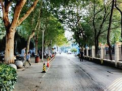-武汉市青少年宫水上世界