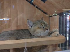 -凯德广场(学府店)