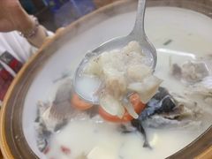 千岛湖浓汤鱼头-全乐鱼馆·淳牌有机鱼直营店