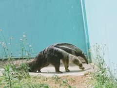 -无锡动物园·太湖欢乐园