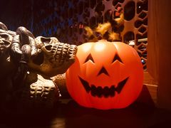 -bluefrog蓝蛙(水游城店)