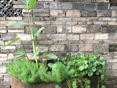 -凤来栖·净庭院·火锅(欧尚店)