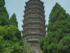 -荣国府