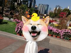 -西北湖绿化广场