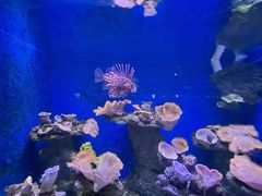 -北海海洋之窗