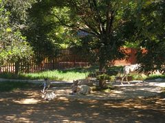 -石家庄市动物园