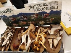 -芸山季·云南山珍菌火锅(南翔印象城MEGA店)