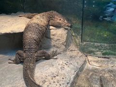 -上海大自然野生昆虫馆