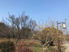 -无锡梅园公园