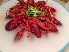 -杨氏青龙虾·羊蝎子(珠江路店)