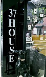 -37HOUSE