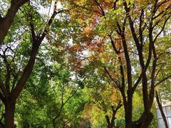 -华北电力大学(一校区)