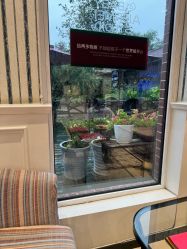 -爱儿美儿童摄影(五路居花园别墅店)