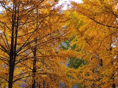 -河南省黄河迎宾馆