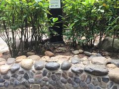 -三亚珠江南田温泉度假区