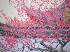 -梅花山(明孝陵内)