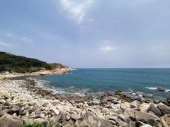 -广东惠东海龟国家级自然保护区
