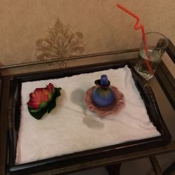 -源素美容养生会所