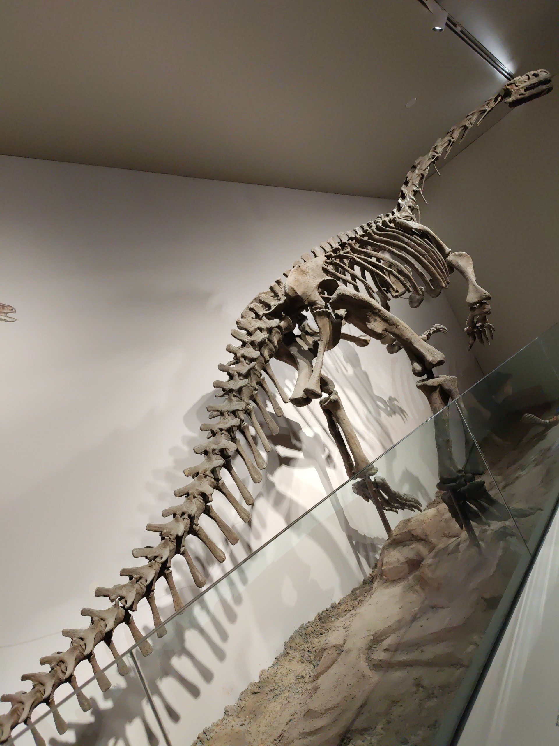 亚洲最大的恐龙博物馆