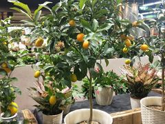 -果蔬好生活超市(乐堤港店)