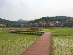 iphone_upload_pic-红山村