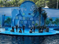 -深圳野生动物园