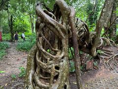 -中国科学院西双版纳热带植物园