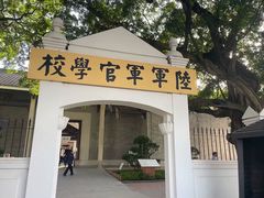 -长洲岛