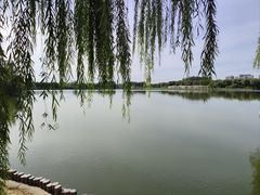 -大兴滨河森林公园