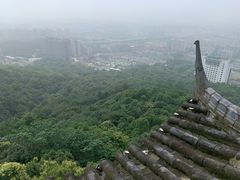 -杭州半山国家森林公园