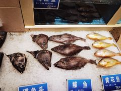 -双井轩(双井店)