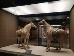 -西安大唐西市博物馆