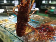 -森谷美食公园(杨行店)