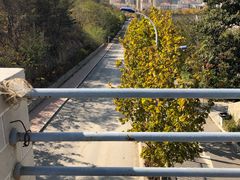-大连东软信息学院(软件园校区)