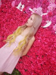 -MYCOLORHARSALON