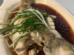 -云中小雅