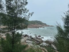 -广东惠东海龟国家级自然保护区